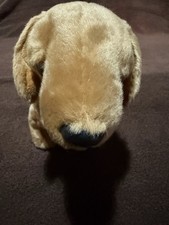 Ty Beanie Buddy Weenie The Dog Rainbow Star Any Persons Best Friend BBP