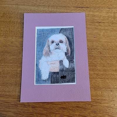 Shih tzu Puppy ''Held...'' Unframed Matted 5 X 7'' Original Color Pencil Drawing 