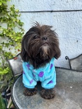 Cute Style Dog Costume Hoodie with Hat Clothes Sweatshirt Fleece