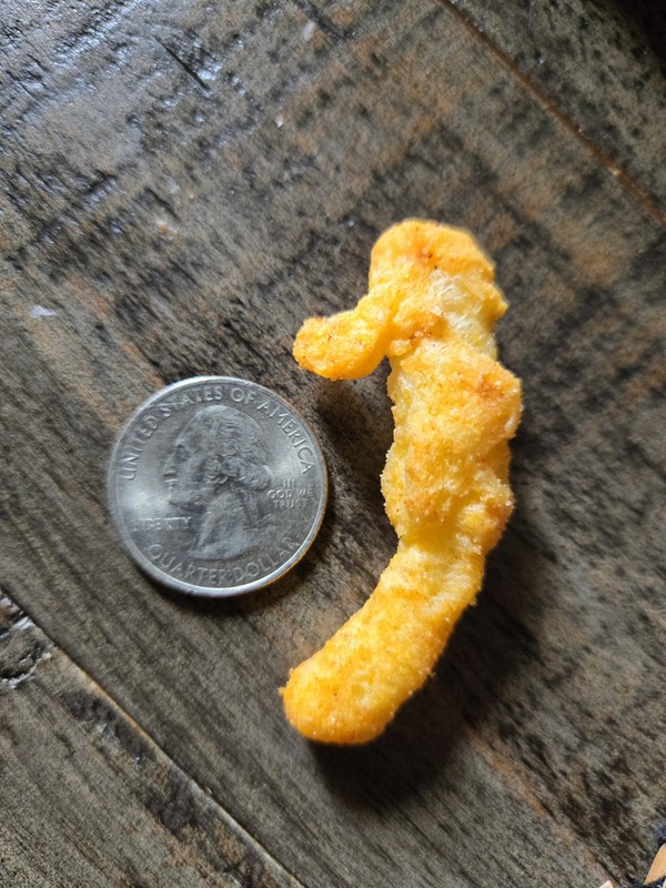 Cheeto Shaped Like Horsea Seahorse Pokémon