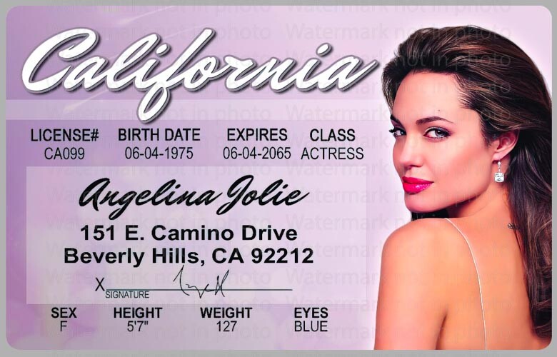 ハリウッド女優　証明書付　アンジェリーナ・ジョリー 直筆サイン入り８X10フォト Angelina Jolie Actress Beverly Hills California License Card