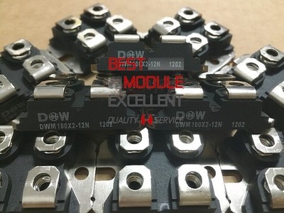 1PCS DAWIN DWM100X2-12N power supply module NEW 100% Quality Assurance #bv
