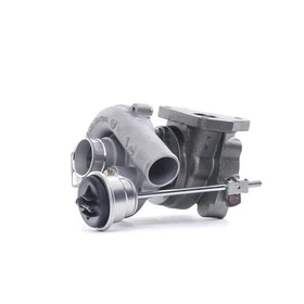Turbolader RIDEX 2234C0049 für RENAULT Clio III Schrägheck (BR0/1, CR0/1)