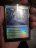 Thornwood Falls Foundations Foil
