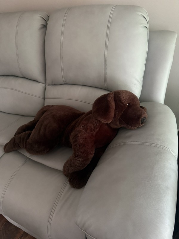 Vtg Jumbo Plush Brown Labrador Retriever Chocolate Lab Dog Kids Preferred 33” 