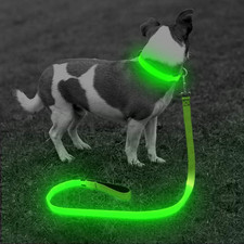 LED Light Up Dog Leash 4 Ft Rechargeable Nylon Glow Lead Night Safety Neon Green