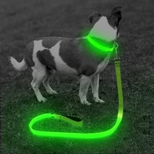 LED Light Up Dog Leash 4 Ft Rechargeable Nylon Glow Lead Night Safety Neon Green
