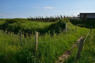 Foto 12x8 Newport District: Graspfad Goldcliff Ein grasbewachsener Weg, den er um 2017