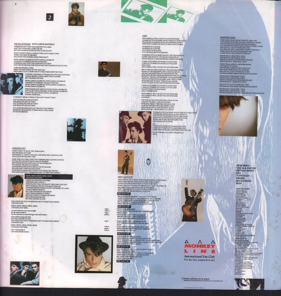 BLOW MONKEYS SHE WAS ONLY A GROCER'S DAUGHTER LP VINYL 11 track vinyl lp with in - Bild 4 von 4