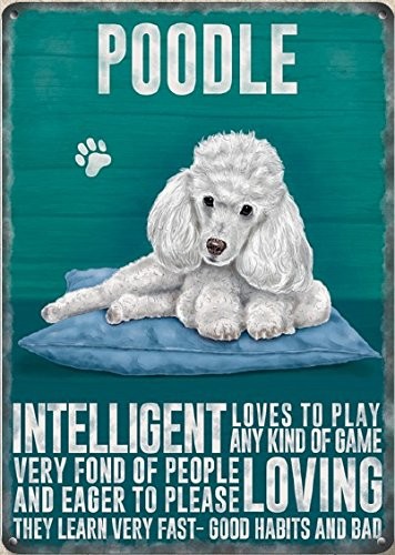 Small (150 x 200mm) Metal Sign - White Poodle