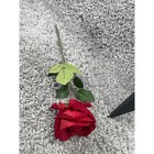 Bild 10 von 14