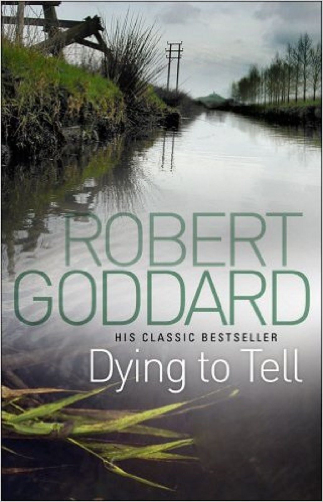 Dying to Tell by Robert Goddard, Book, New (Paperback)