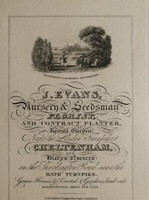 1826 ANTIQUE CHELTENHAM PRINT J. EVANS NURSERY SEEDSMAN FLORIST ROSINA GARDEN