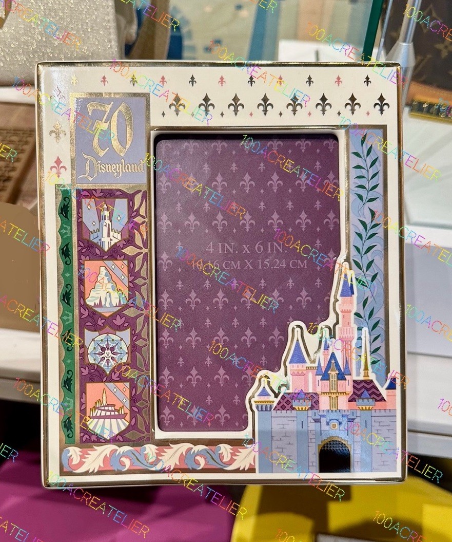 New 2025 Disneyland 70th Anniversary Castle Picture Frame | eBay