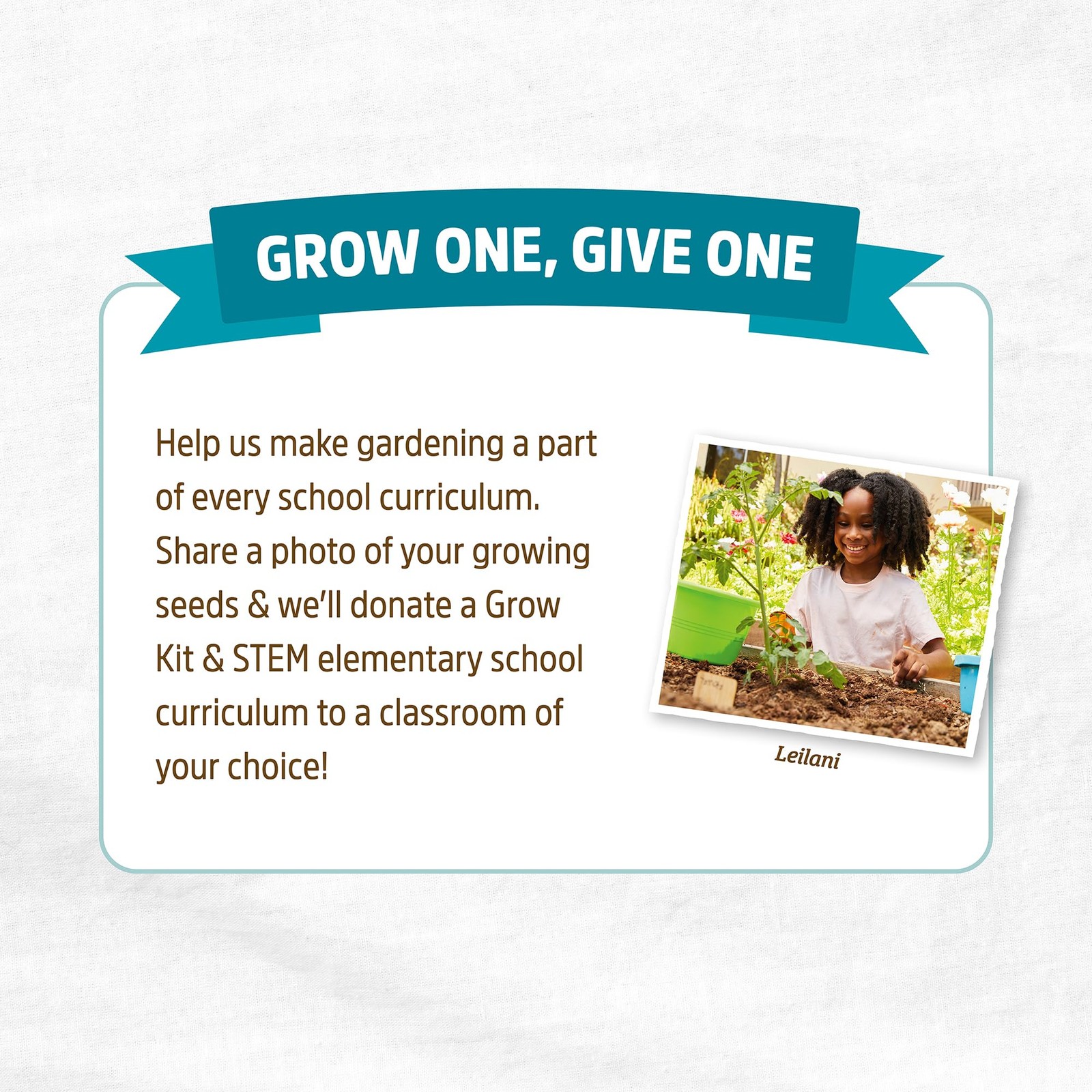 Organic Heirloom Vegetable and Herb Seed Bundle 30 Pack Non GMO Plant Seeds