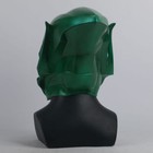 Foto 5 di 12