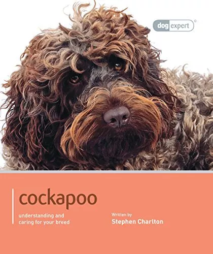 Cheap cockapoo hotsell