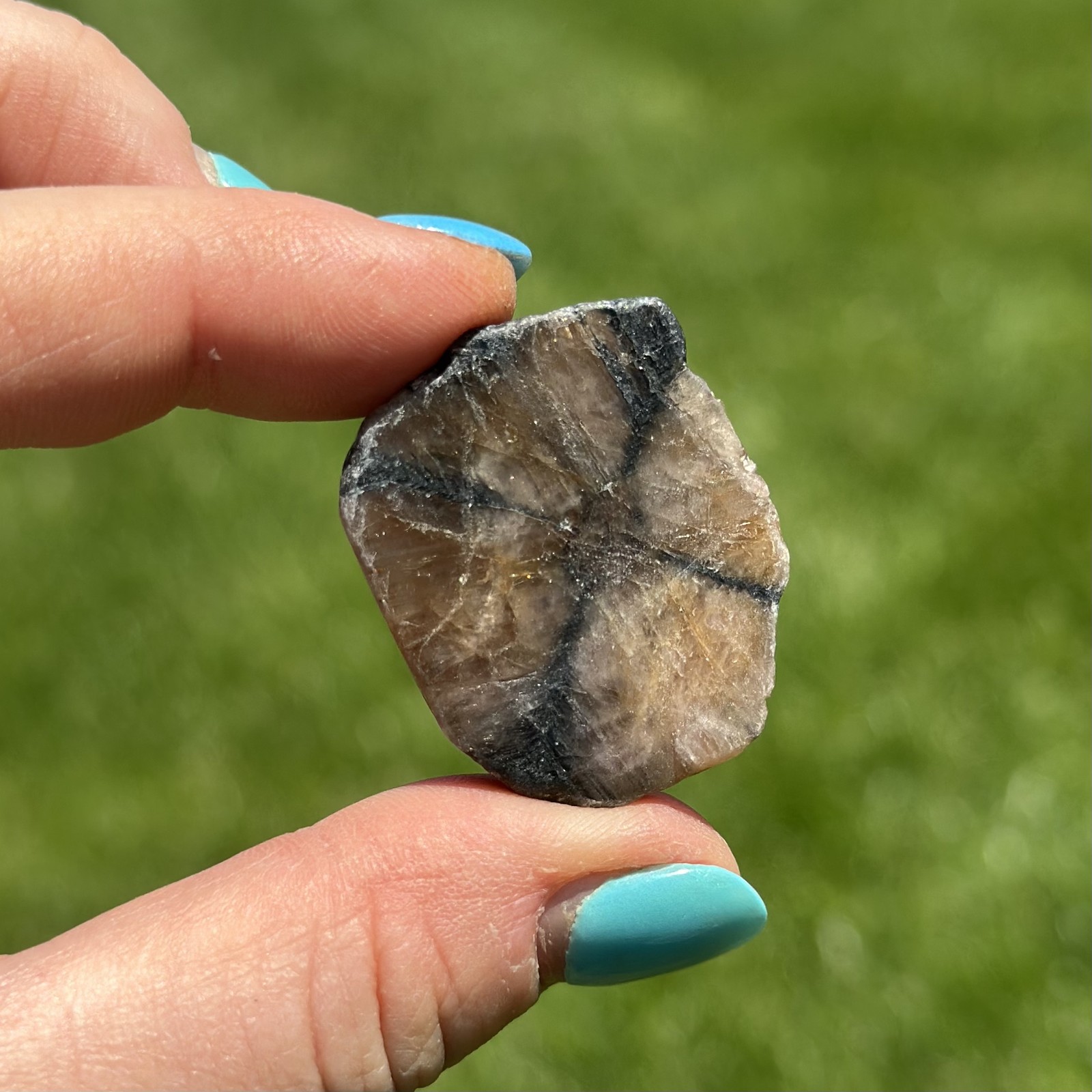 Chiastolite Stone Slab - Natural Australian Crystal Slice with Imperfections