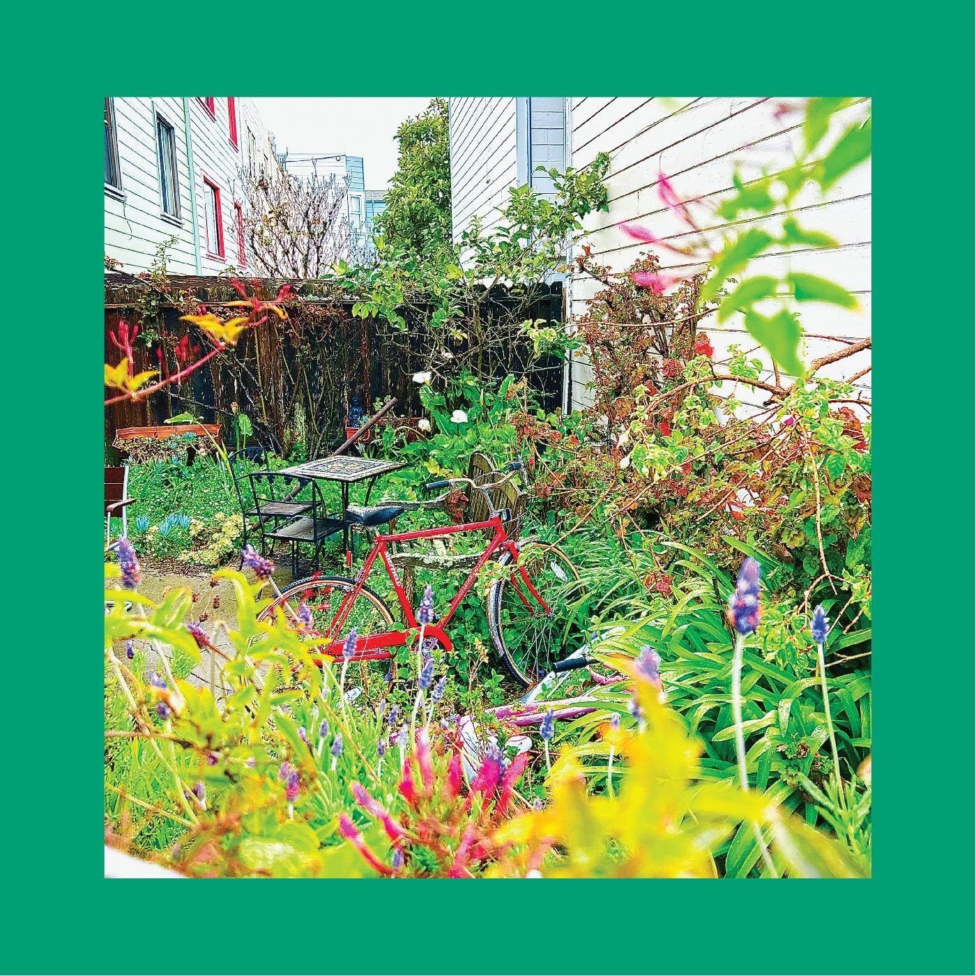 Audio Cd Nuovo - Reds Pinks And Purples The - Unwishing Well  - Slumberland Reco