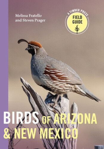 Birds of Arizona and New Mexico by Melissa Fratello