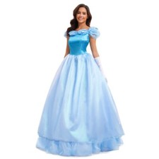 Cinderella Blue Fancy Dresses for Women for sale | eBay