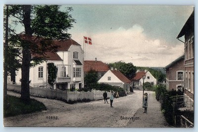 Hobro Nordjylland Denmark Postcard Skovvej Street View c1910 Antique Unposted