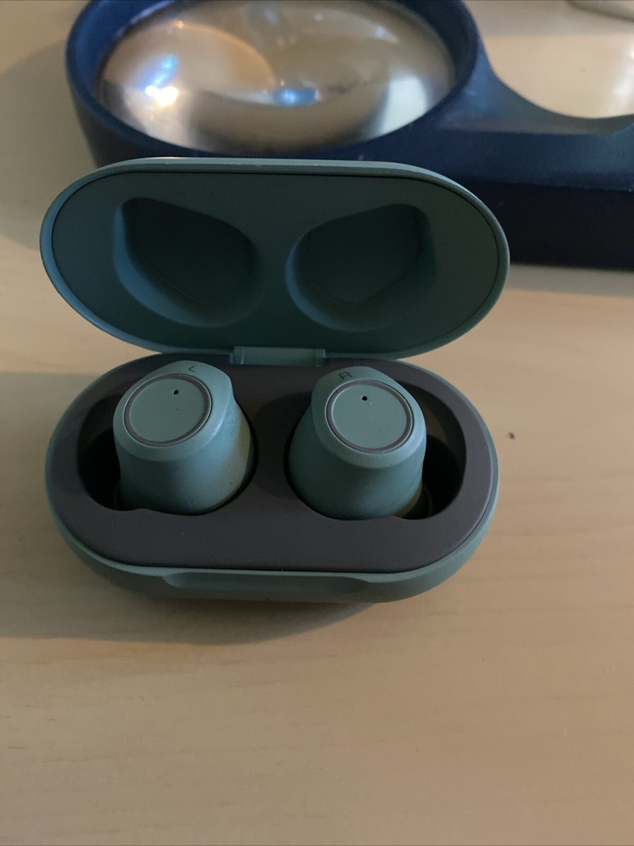 Zebra Wireless Bluetooth Earbuds Headphones 3026967 In Magnetic Charging  Case