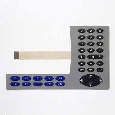 For PanelView Plus 600 2711P-B6C20A 2711P-B6C20D Keypad Membrane Protective Film