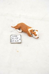 rabbit nail trimmers