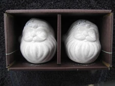 Winter Wonder Lane Arctic Enchantment White Embossed Santa Salt and Pepper Set