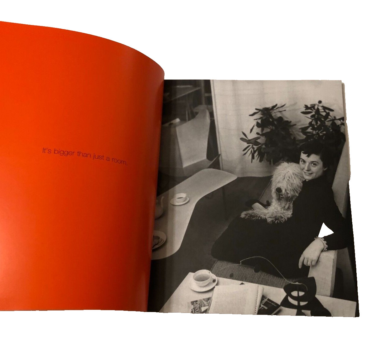 Knoll What is Space Mid Century Modern Classic Furnitures Paperback Catalog