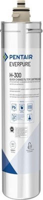H-300 to NSF Pentair Quick-Change Cartridge, EV927072, Filter Everpure Certified