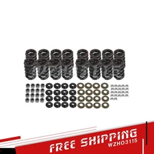 .660" Platinum Dual Valve Spring Kit For LS 4.8 5.3 5.7 6.0 6.2