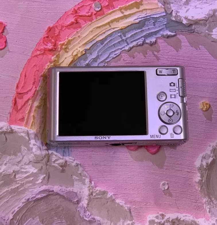 Sony Cyber-Shot DSC-W830 20.1MP 8x Optical Zoom Digital Camera
