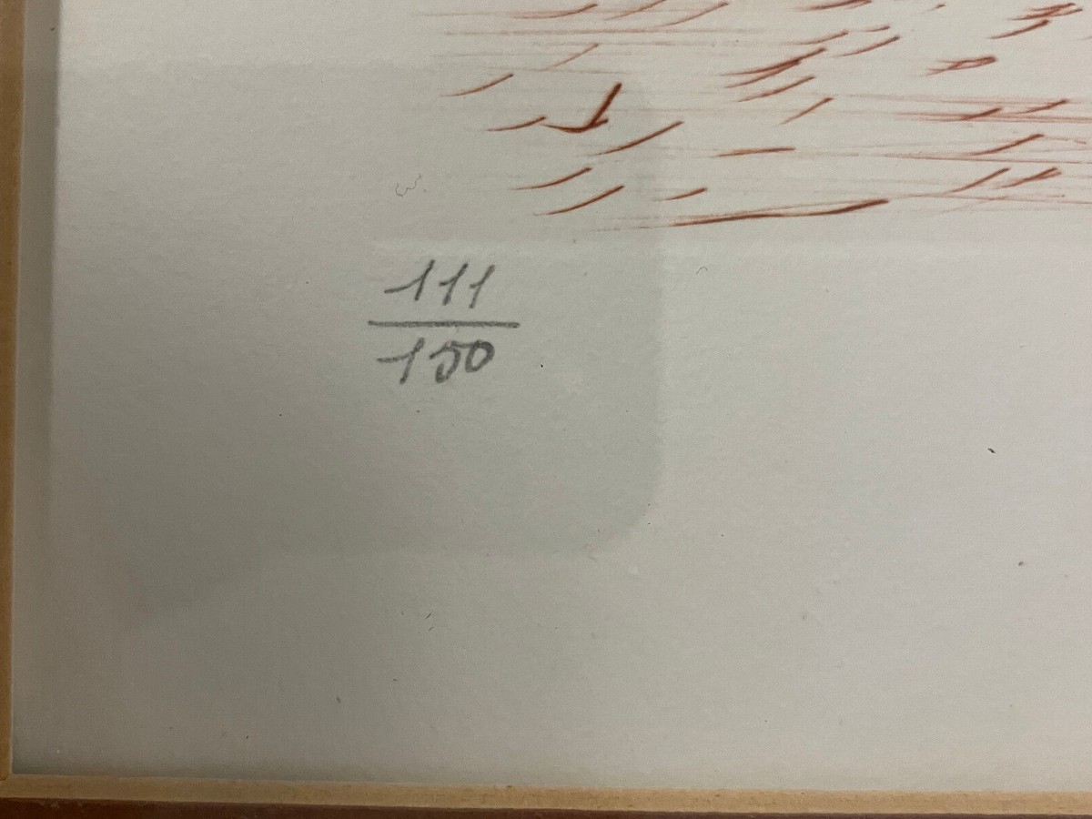 DALI Album Rhinoceros Hand Signed Number Etching Surreal ART