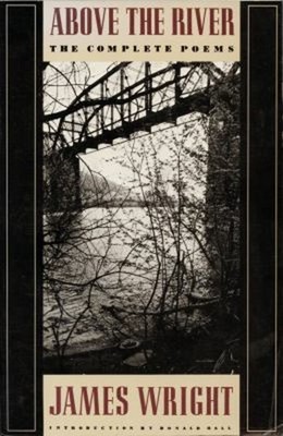 Above the River : The Complete Poems Paperback James Arlington Wr