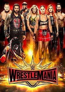 WWE: WrestleMania 35 [3 DVDs] | DVD | Zustand sehr gut
