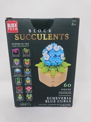 Block Tech Succulents 2024 Echeveria Blue Curls New Sealed 60 Pieces
