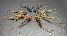 Articulated Stonefly Nymph Set - 8 Flies