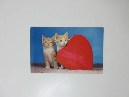 Vintage Postcard Kittens With Valentine Heart Unused Mirro-Krome Divided