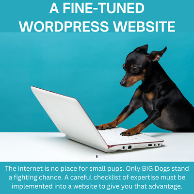 Custom Professional Wordpress Website Design - Responsive With 4 Pages