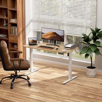 Gylador 40'' 48'' 55'' 63''  inch Electric Standing Desk Height Adjustable Desk