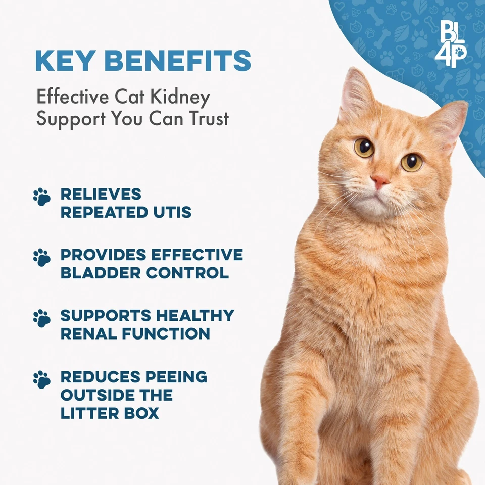 Cat UTI Remedy & Kidney Support for Cats - Image 3 of 4