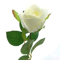 Gasper RosenblüTe Weiß 45 Cm - Kunstblumen