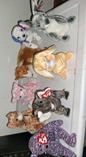 8 Beanie Babies