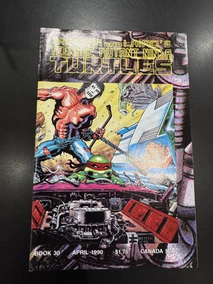 Teenage Mutant Ninja Turtles #30 (Mirage Studios June 1990) 1st print