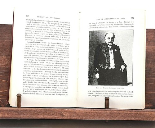 Vintage Biologie und ihre Macher: Porträts Illustrationen William Locy 1926 selten - Bild 4 von 12
