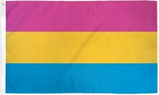 Bandera Pansexual 2x3 pies LGBTQIA Orgullo Pansexual Bandera Pan Bandera Orgullo LGBT