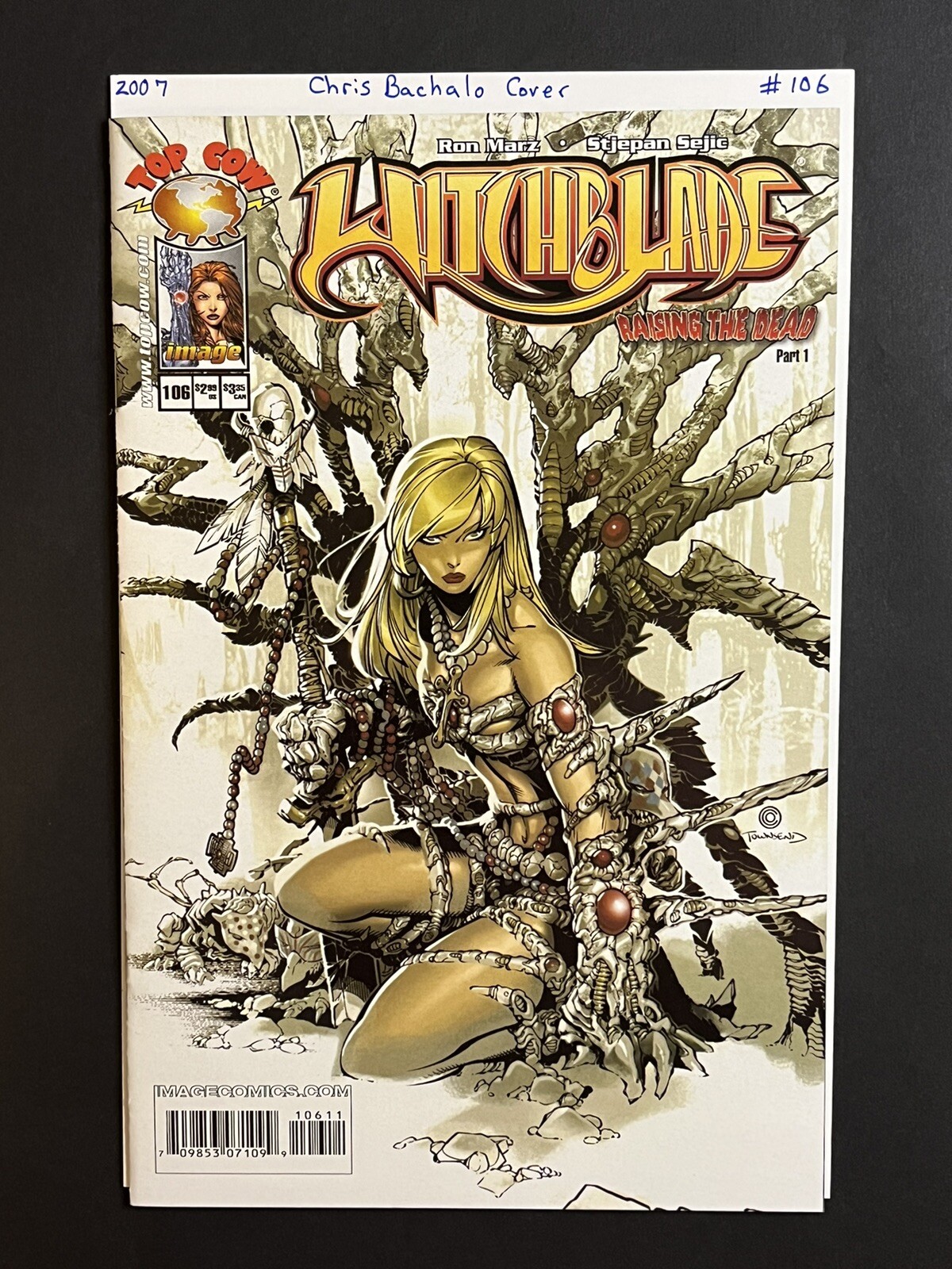 WITCHBLADE #106 Cover A by Chris Bachalo Cover ~ Image Comics ~ 2007