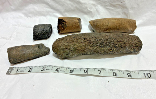 Dugong Rib Fossils Found in Peace River Florida
